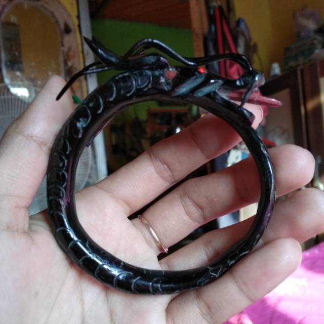 Akar Bahar kepala nagaORI