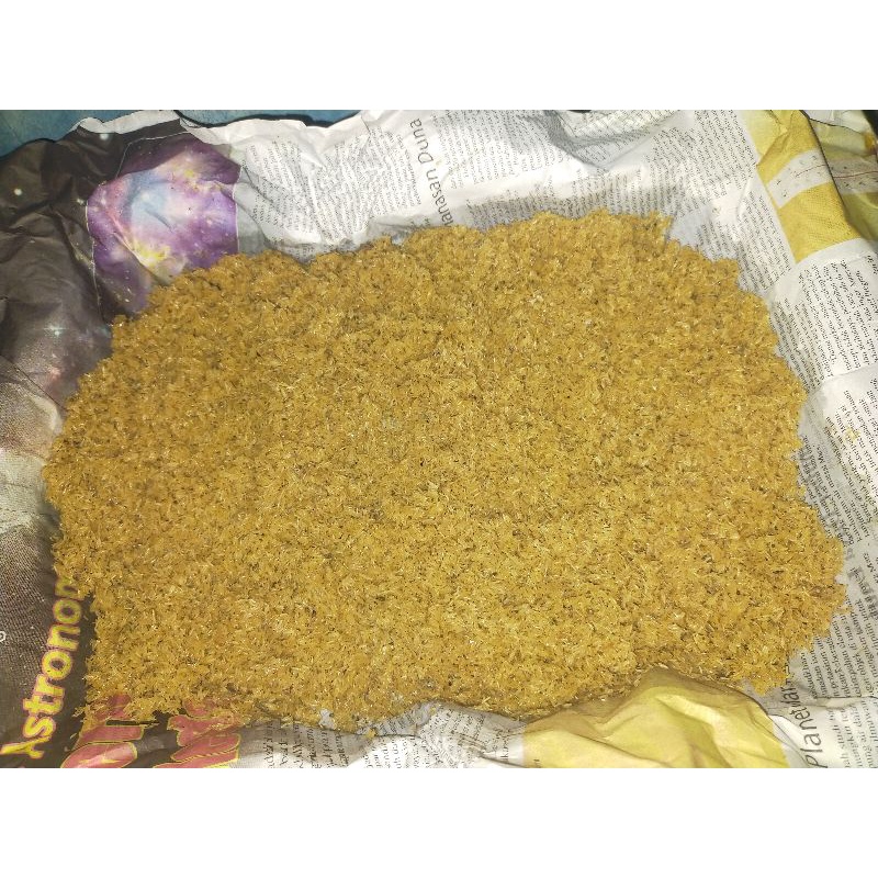 telur jangkrik madu kuning promo 300gram