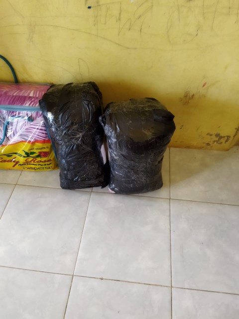 Kantong Plastik / Kresek Teddy Bear Ukuran 28 X 48 Cm (1 Pack)