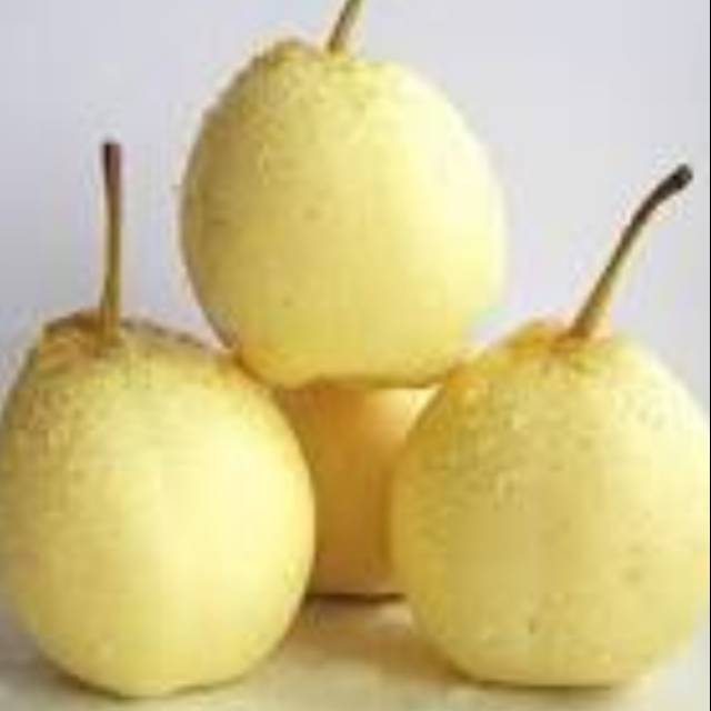 

PEAR (sweet pear)