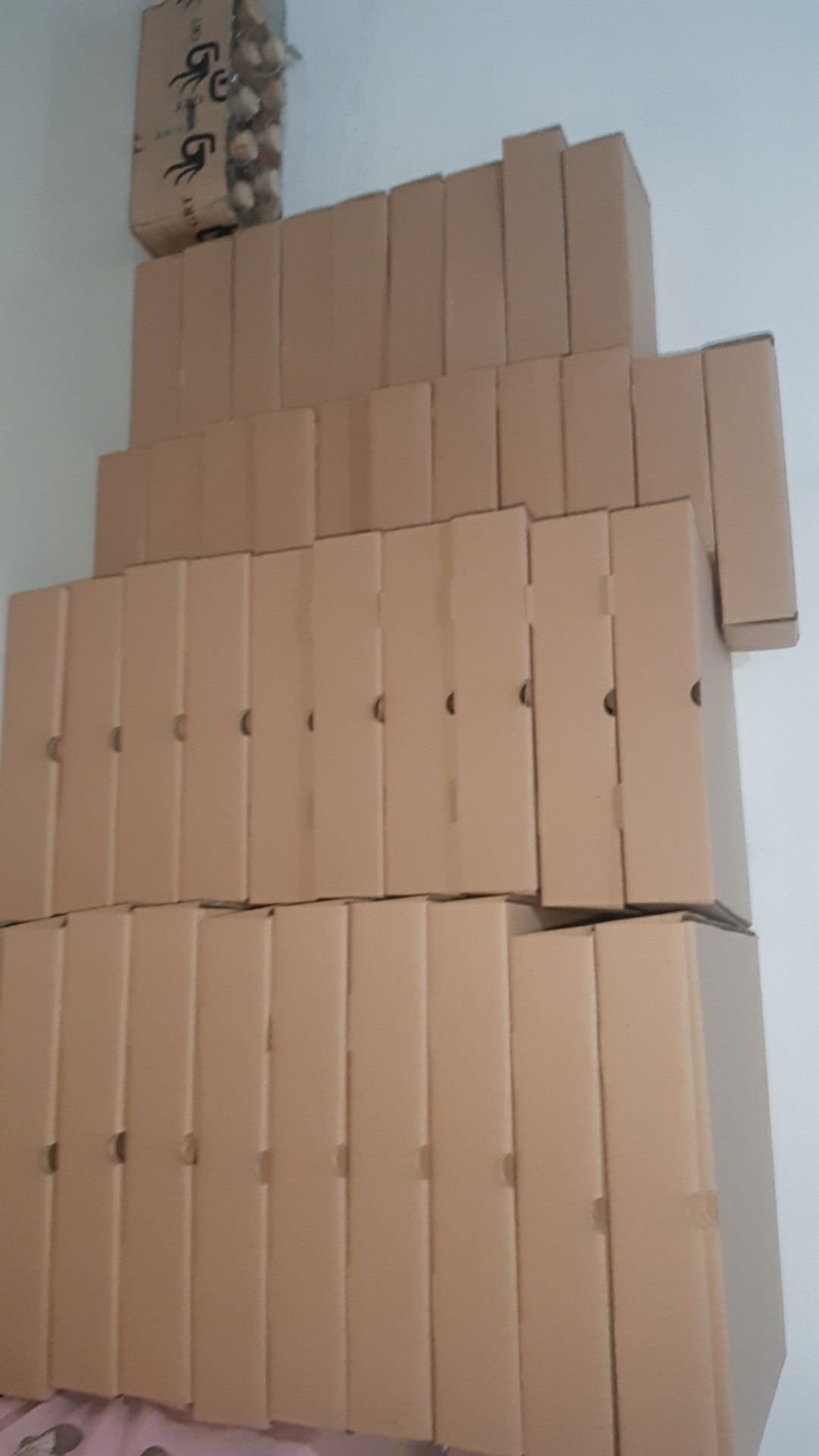 25x25x5 (10pcs) Box Pizza Eflute Kotak Kemasan Kemeja Kardus Karton Kue Hijab