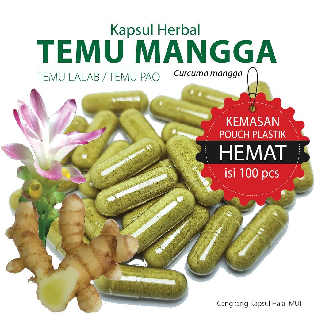 TEMU MANGGA 100 Kapsul Herbal Maag, Asam Lambung & Masalah Pencernaan