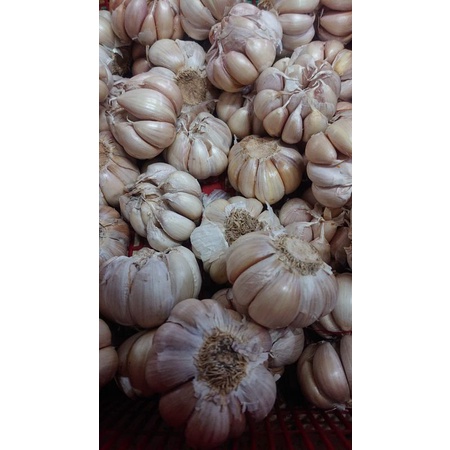 

bawang putih 500 gram
