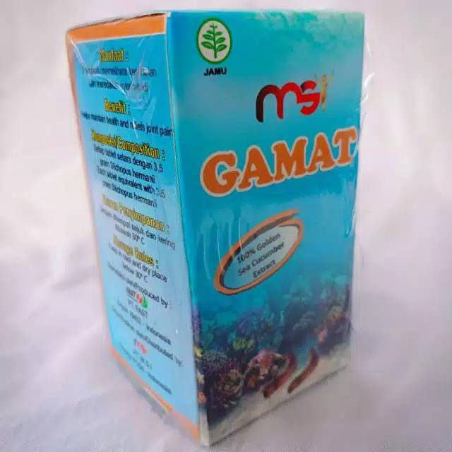 MSI Gamat