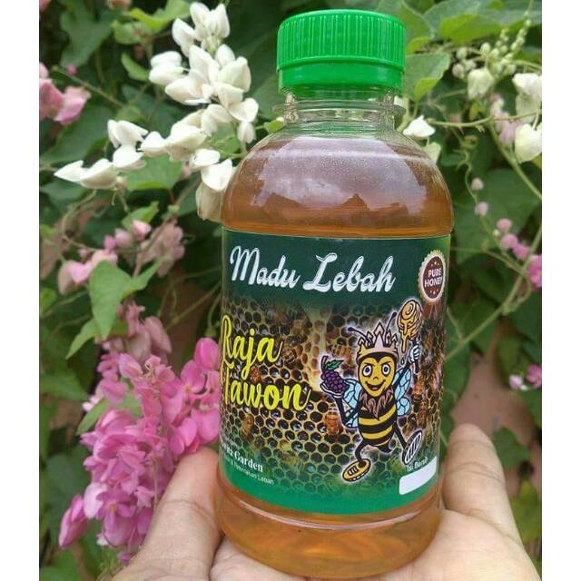 

Madu Lebah Mellifera