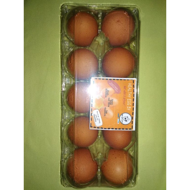 

Telur Albumin