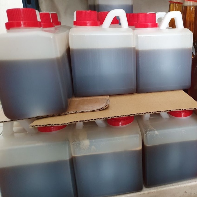 

Madu Murni Akasia Mangium Apis Mellifera Bukan Akasia Crassicarva