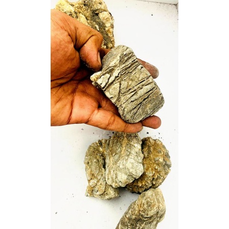 Batu truly truly stone batu aquascape akuarium