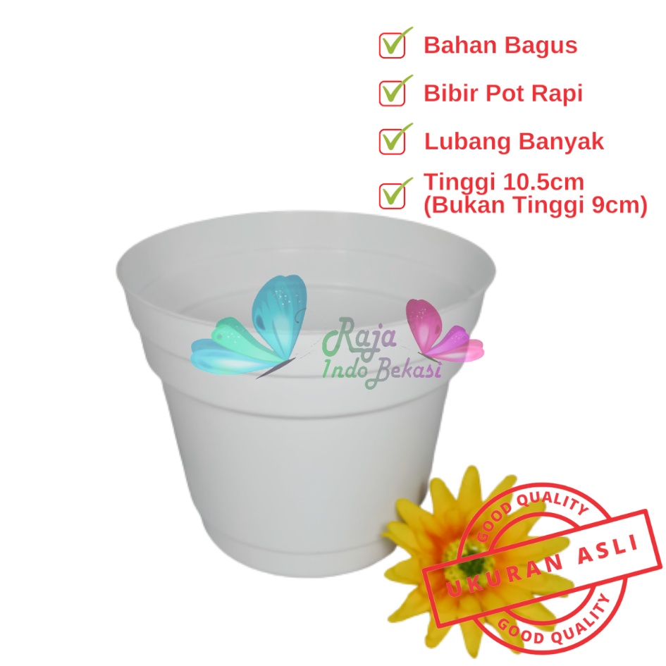 Pot 12 Putih Polos - Pot 12 Cm Putih Kecil Mini Minimalis Plastik Kaktus Sukulen Mini Murah Pot Bibit Pembibitan