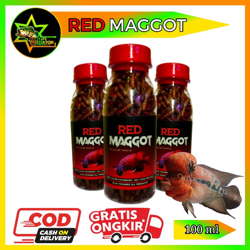 Maggot Bsf Maggot Kering Pakan Ikan Predator Kemasan Botol 100 ml