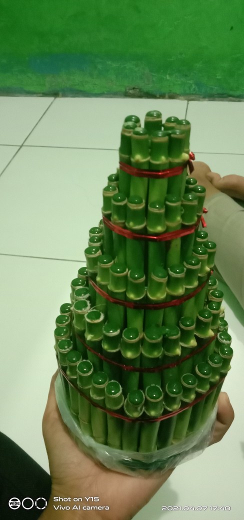 Bambu Hoki / Bambu Rejeki Model Pagoda Susun 5 Paling Murah