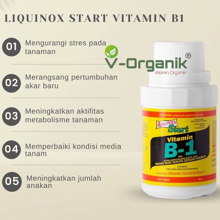 Vitamin B1 Tanaman 100ML Liquinox Original Anti Stres Tanaman