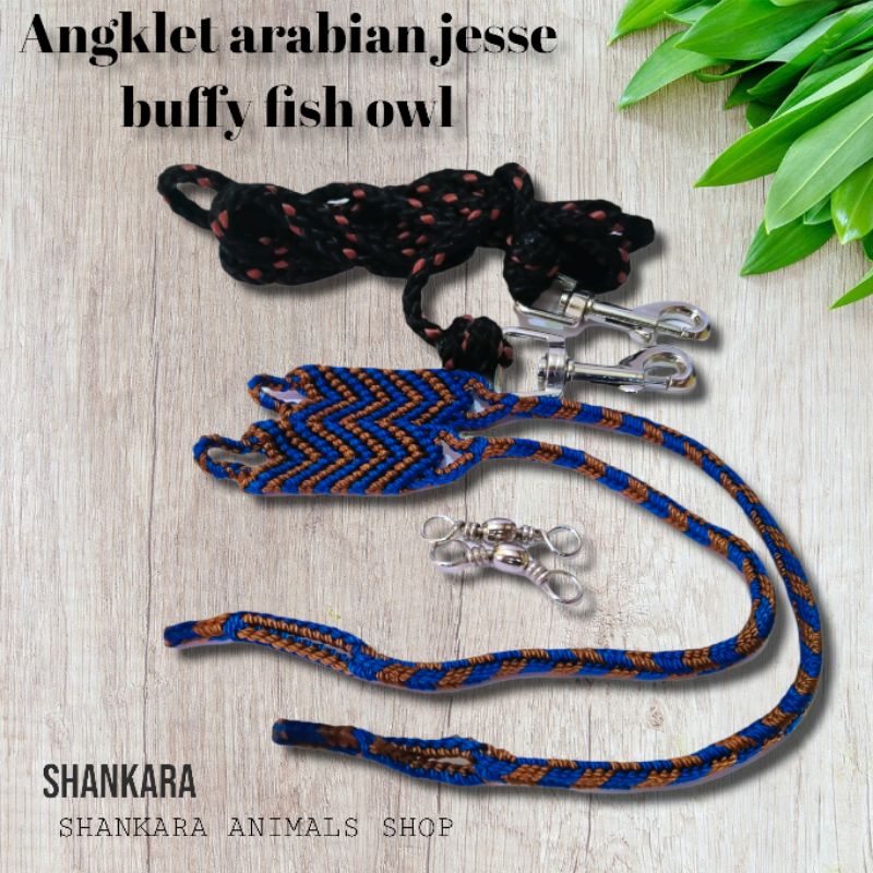 Angklet arabian jesse buffy fish owl
