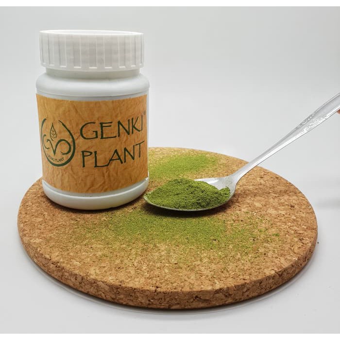 

Kale Powder - 100g grosir