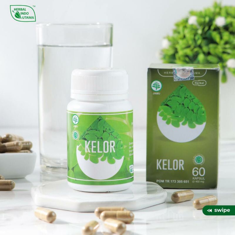 

daun kelor