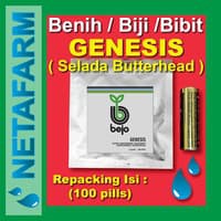 Benih / Biji / Bibit BEJO GENESIS Selada Butterhead 100pills