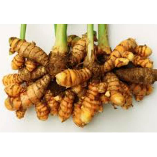 

Kunyit Segar 250 gr