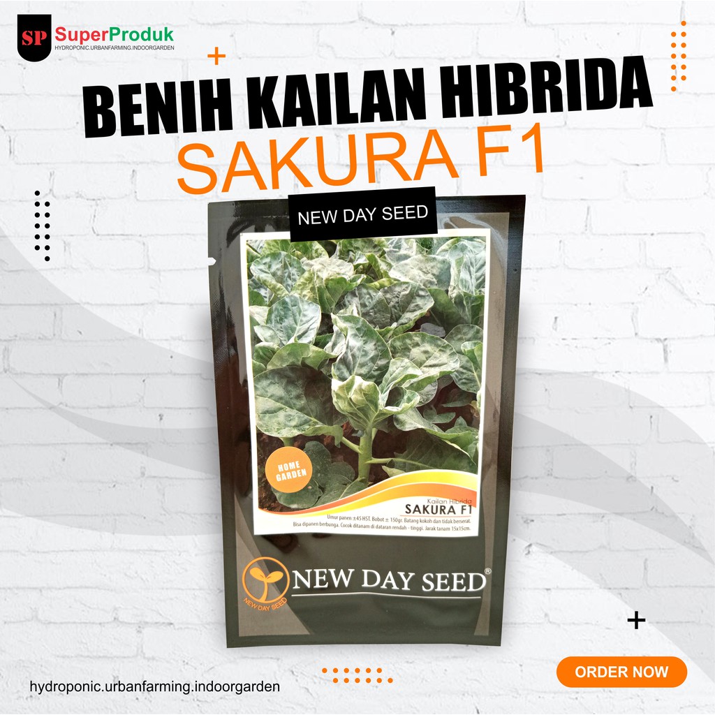 Benih-Bibit Kailan Hibrida Sakura F1 New Day Seed