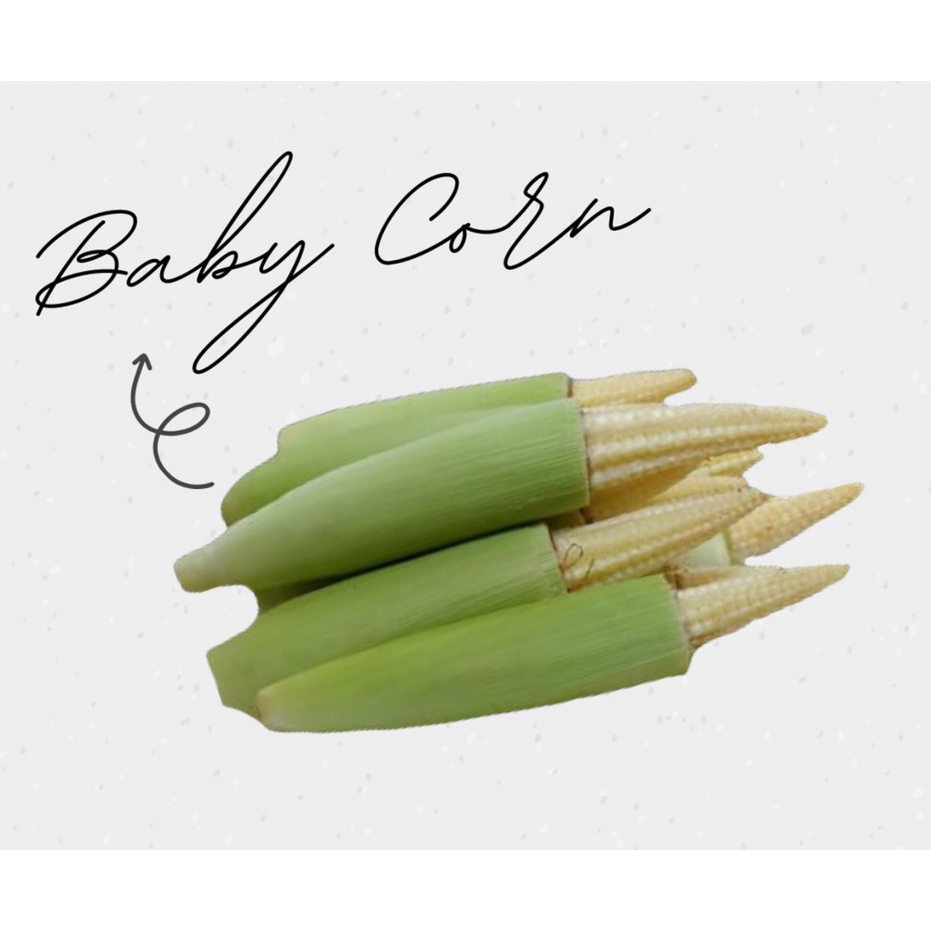 

Jagung Acar / Baby Corn 250gram