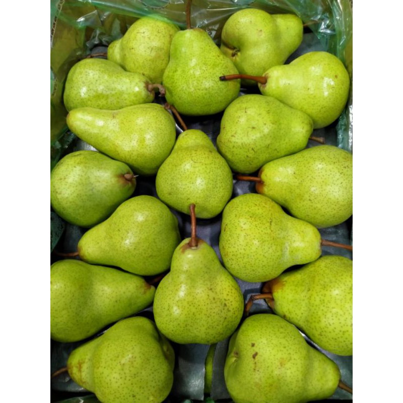 

pear pakham / pear jambu 1kg