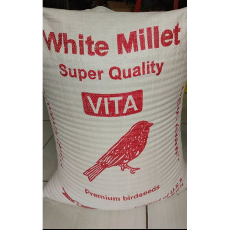 milet putih / white milet