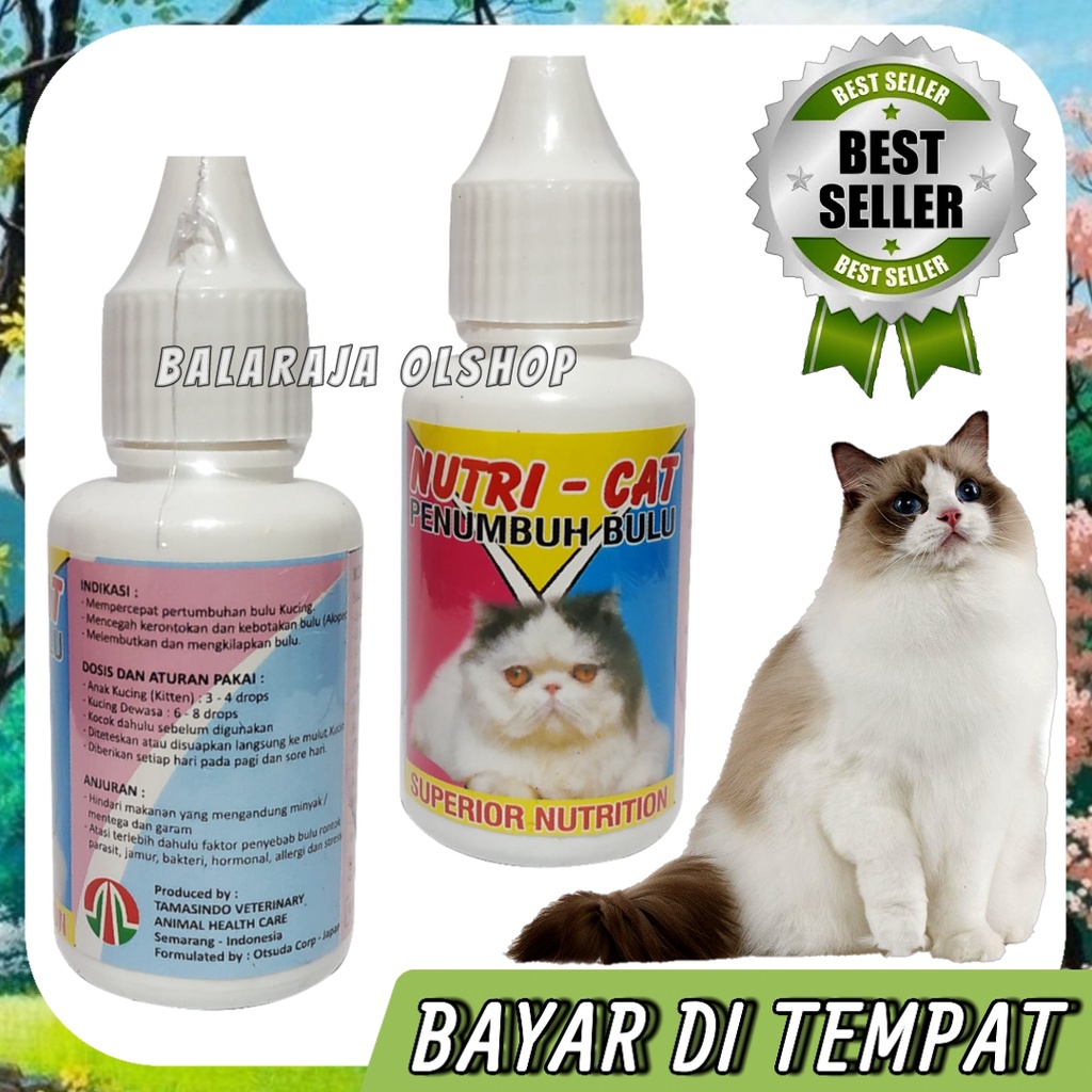 Satu Paket 2 in 1 Vitamin Bulu Kucing Obat Penumbuh Bulu Kucing Rontok Nutri Cat + Minyak Ikan 30 butir