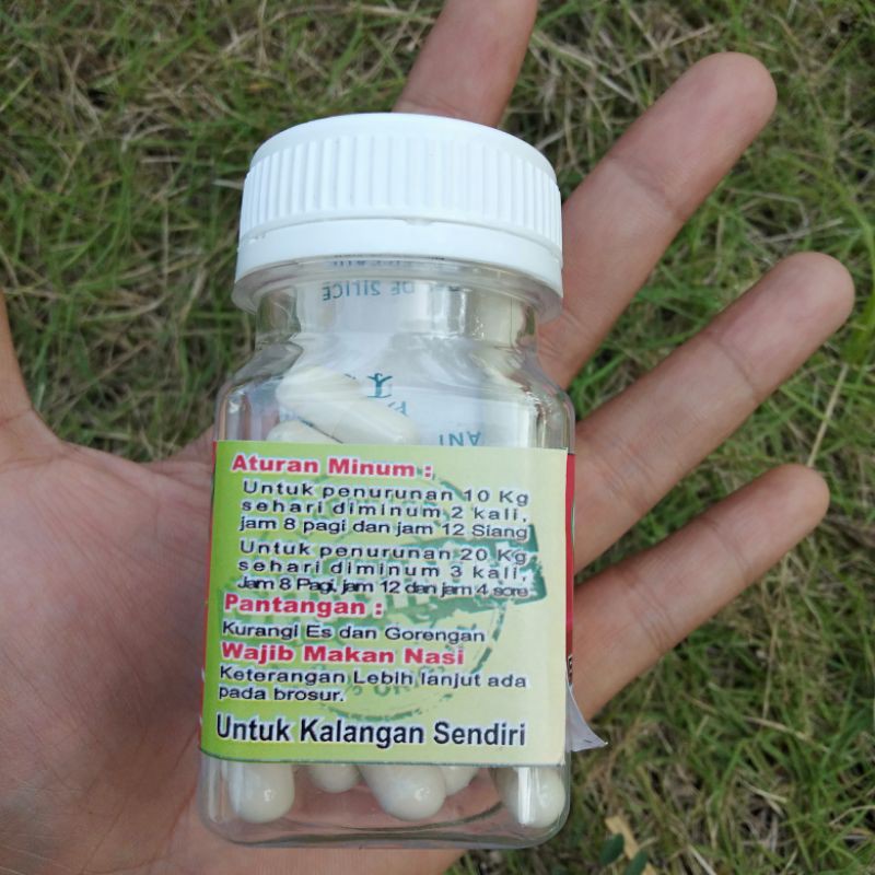 Jamu Pelangsing Herbal/Jamu Pelangsing Tradisional/JAPEL