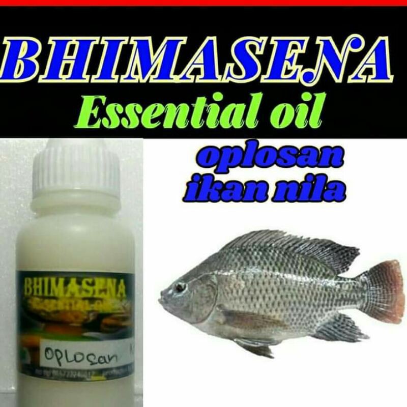 essen oplosan ikan nila