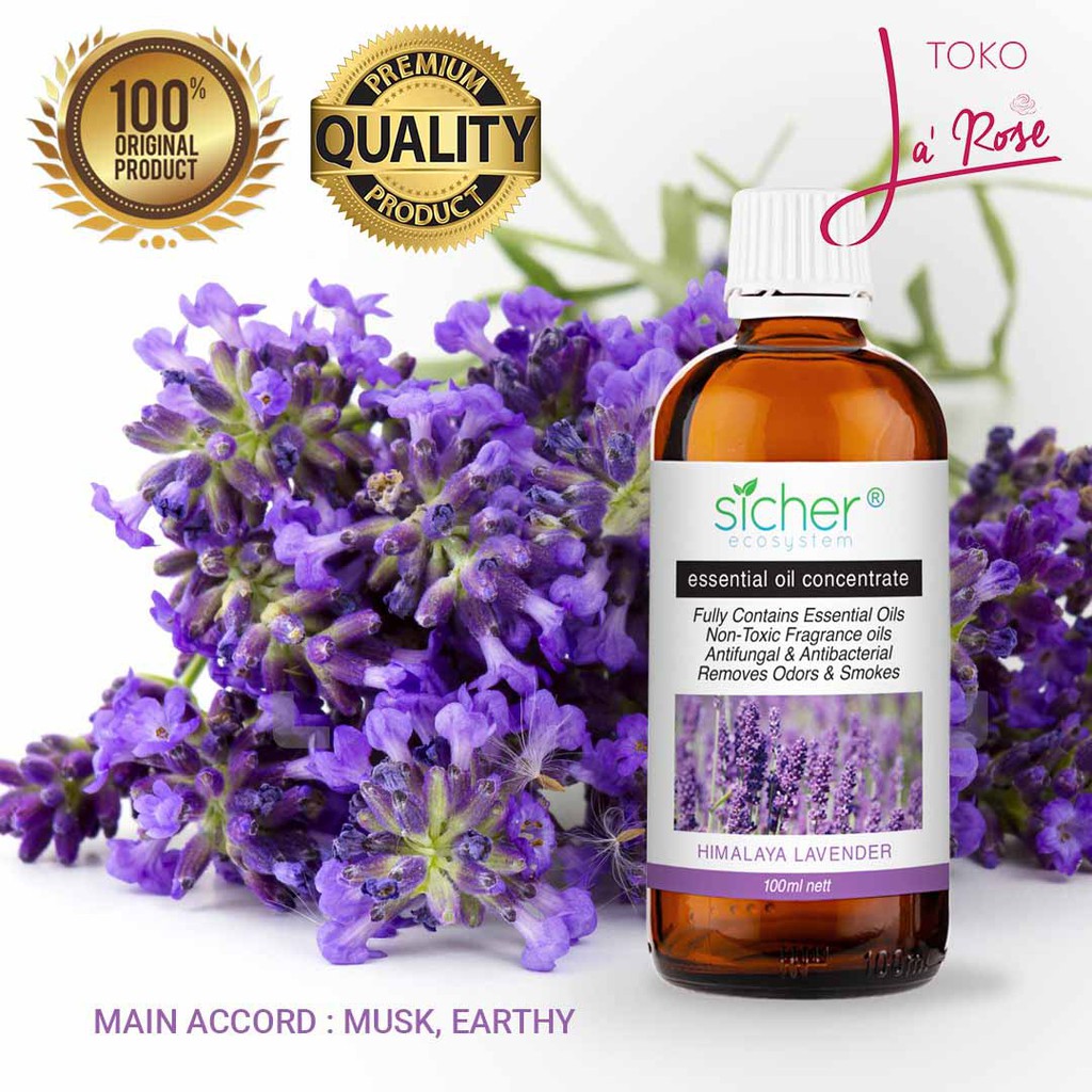 Aromaterapi Lavender Sicher Essential Oil Aromatherapy Natural 100ml