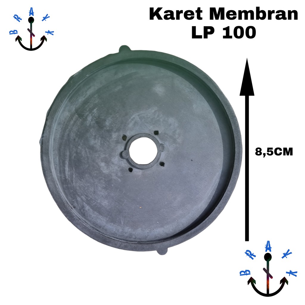 Karet Pengganti Resun LP 100 Karet Membrane Diafragma