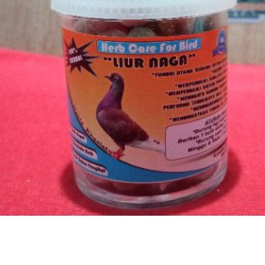 jamu vitamin keket giring keras liur naga khusus burung dara merpati kolongan balap tomprang pos