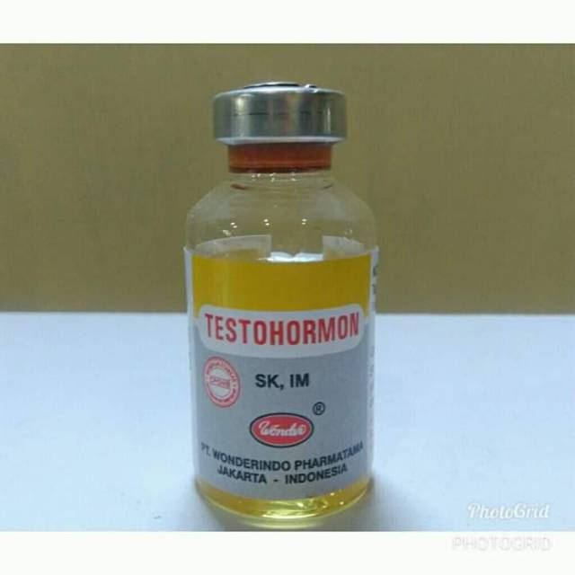 TESTOHORMON (Penambah birahi jantan)