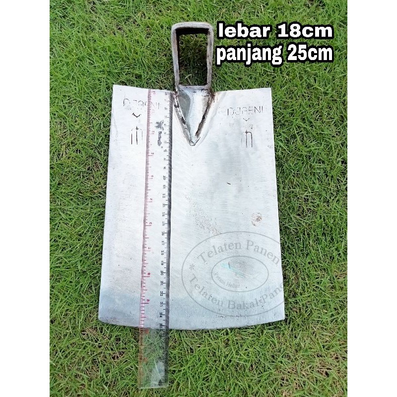 Pacul cangkul asli tulungagung(Tanpa Doran).