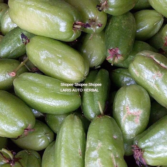 

belimbing wuluh/blimbing sayur