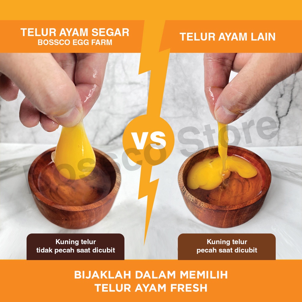 Telur Ayam Negri Langsung dari TERNAK AYAM Grade A segar fresh / telor ayam negri telur ayam 1 kg telur ayam per kg telur segar telur seger telur fresh telur ayam premium telor ayam premium telor organik telor omega telur organik telur omega berkualitas