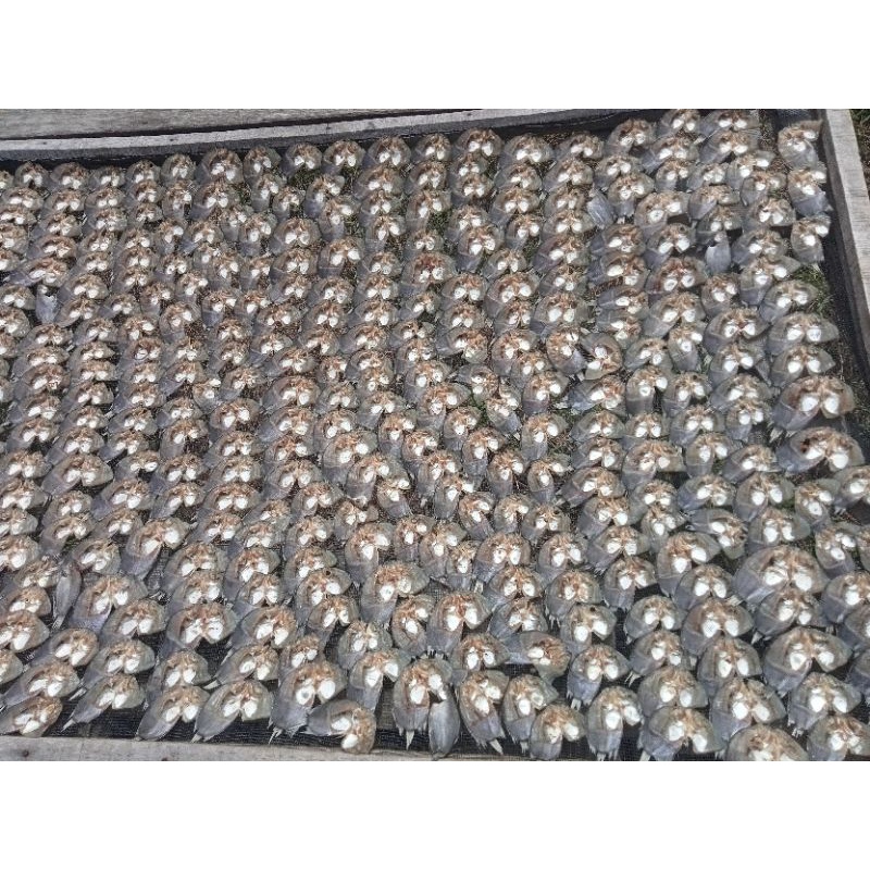 

ikan kering biawan