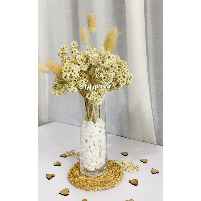 Edelweiss In Vas / Vas Kaca Bali  Vas Kaca / Bunny tail  / Bunga lokal kering / Bunga Kering