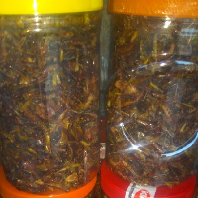 

Belalang goreng
