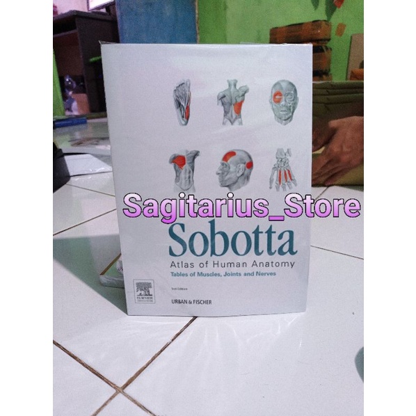Sobotta Atlas of human anatomy
