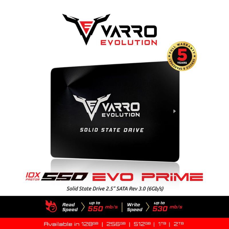 SSD VARRO 256GB