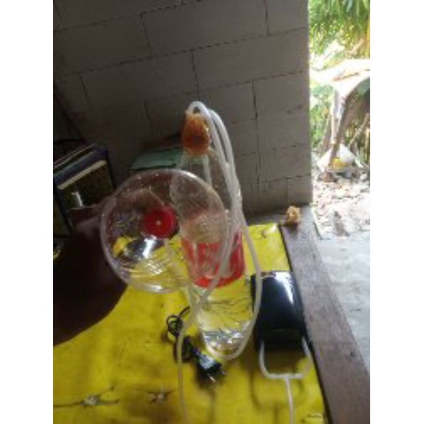 tabung oksigen medis botol