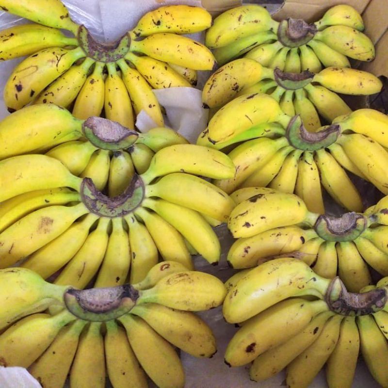 

pisang emas legit 1 sisir