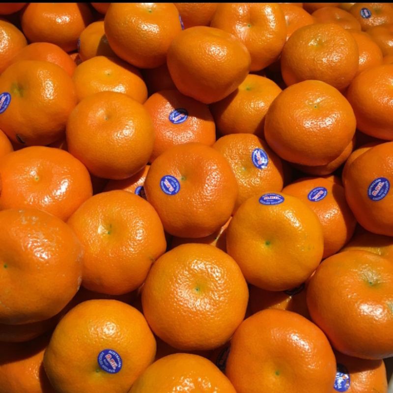 

Jeruk Mandarin Afourer Autralia Tanpa Biji 1kg