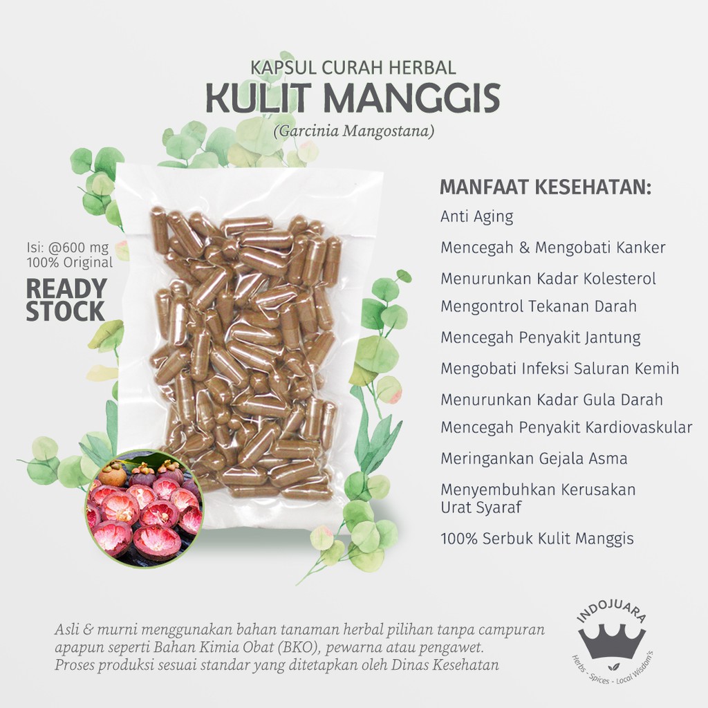 

KULIT MANGGIS 200 x 600mg Kapsul Curah Herbal Anti Aging Kanker Jerawat Kolesterol Hipertensi Wasir