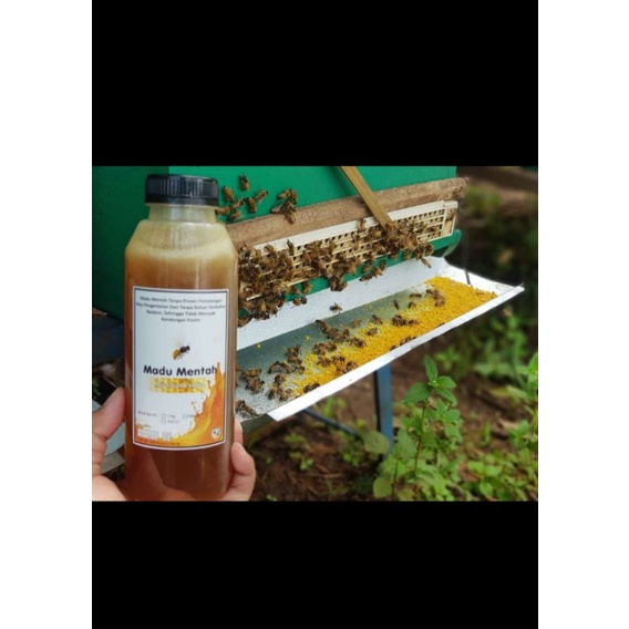 

MADU MULTIFLORA KEMASAN SUPER 500gr