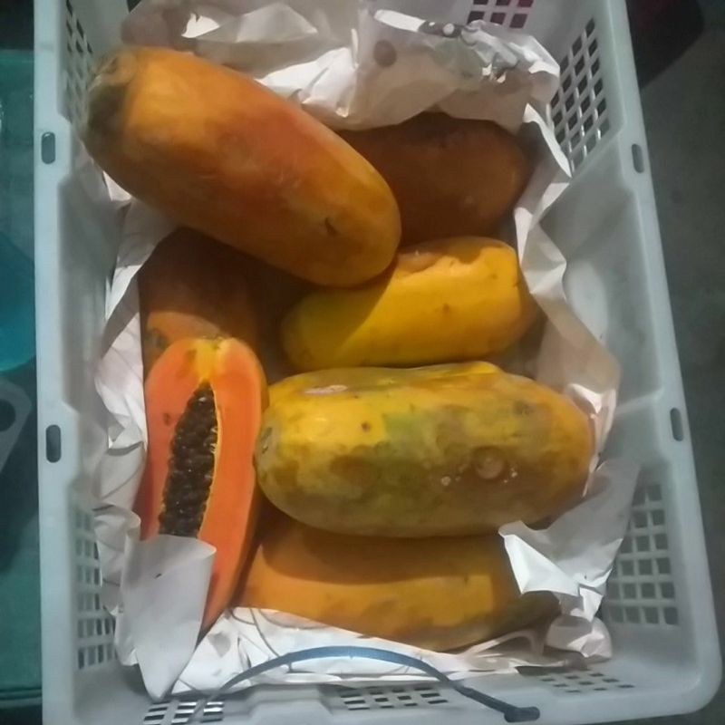 

macam macam buah