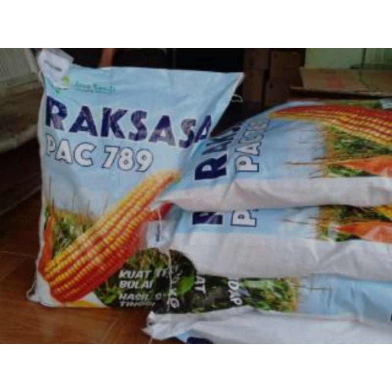Benih Jagung hibrida PAC 789 RAKSASA 1Kg Pacific Seeds