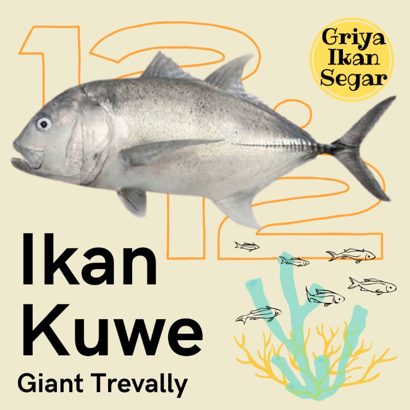 

IKAN KUWE segar GIANT TREVALLY