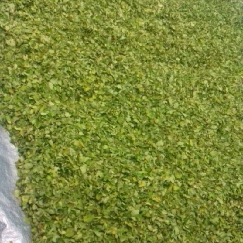 

bubuk daun kelor 1kg murah