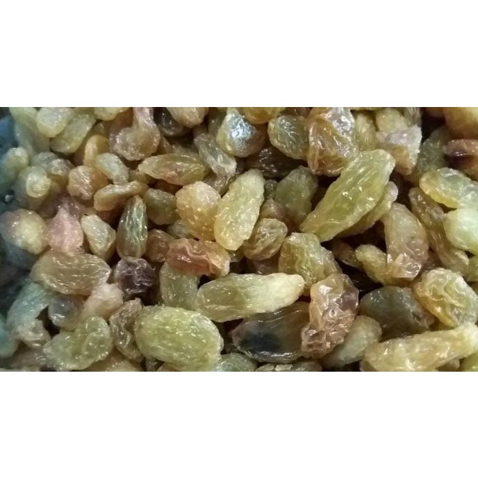 

kismis golden raisin jumbo california 1kg termurah